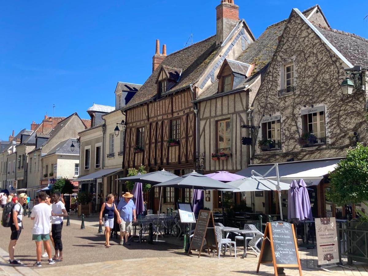 L'amboisienne, Au Pays Des Chateaux *